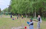 photo_4_2025-05-10_09-49-46_4_11zon