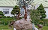 изображение_viber_2025-08-19_11-59-48-776